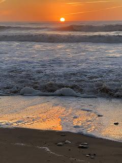 Le Poirier oléronais