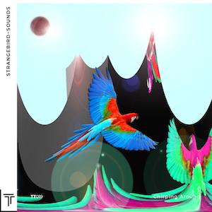 Strangebird~Sounds Strangebird~Sounds