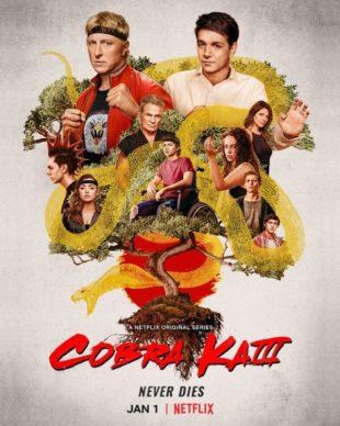 [Critique série] COBRA KAI – Saison 3