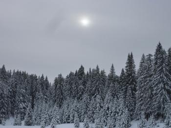 jura,nerbier,la pesse,raquettes,promenade,hiver,neige,haut jura,carnet,photo,forêt,blog littéraire de christian cottet-emard