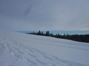 jura,nerbier,la pesse,raquettes,promenade,hiver,neige,haut jura,carnet,photo,forêt,blog littéraire de christian cottet-emard