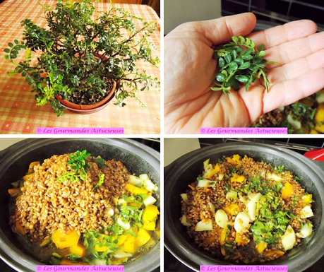 Tajine aux radis et à la courge (Vegan) Tajine aux radis et à la courge (Vegan)