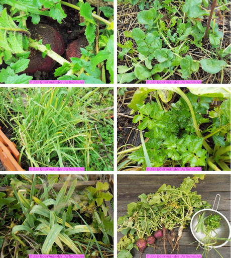 Tajine aux radis et à la courge (Vegan) Tajine aux radis et à la courge (Vegan)