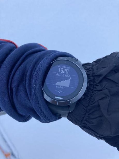 Avis Wahoo Elemnt Rival