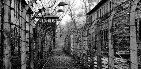 Primo Levi, écrire après Auschwitz Primo Levi, écrire après Auschwitz