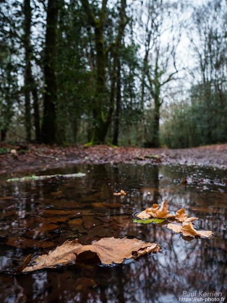 #reflet dans une flaque #Quimper #Bretagne #Finistère