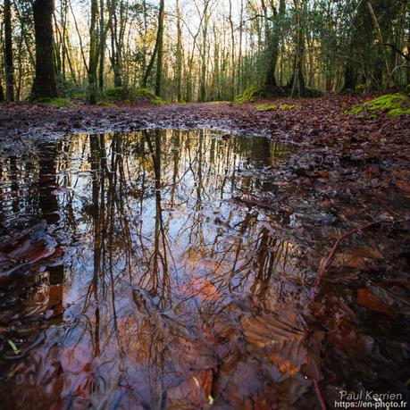 #reflet dans une flaque #Quimper #Bretagne #Finistère