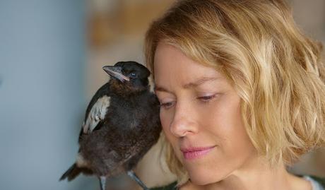 [CRITIQUE] : Penguin Bloom