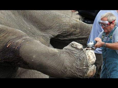 Divers - Drôles d'images
