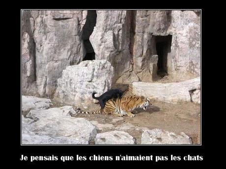 Divers - Drôles d'images