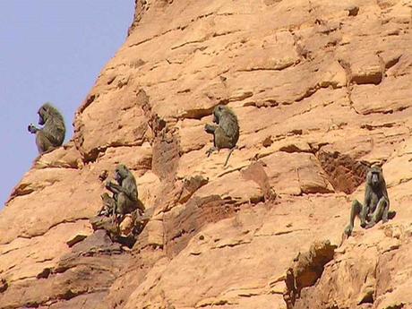 Pays Etranger - Le Tchad