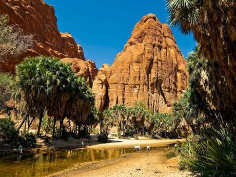 Pays Etranger - Le Tchad