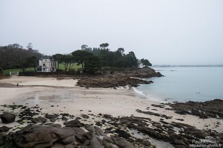 tournepierres à collier et bécasseaux sanderling à #Fouesnant #Bretagne #Finistère