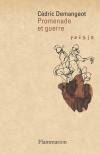Cédric Demangeot  promenade et guerre
