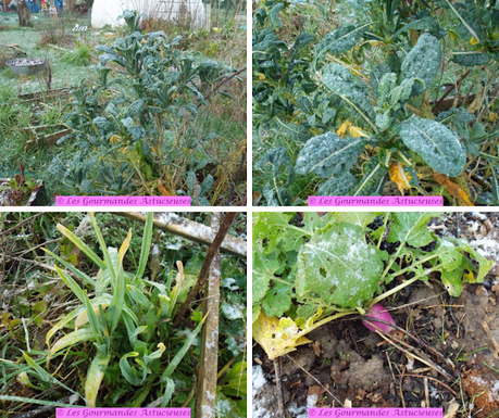 Tartelette à la courge pleine de surprises (Vegan)