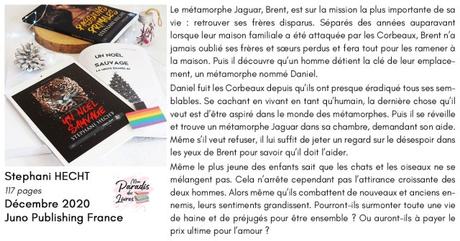 Un noël sauvage (La meute égarée #2) de Stephani Hecht