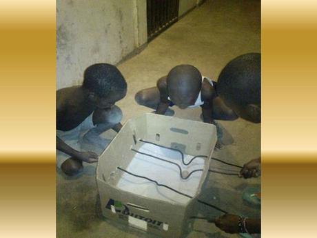 Divers - Les petits débrouillards