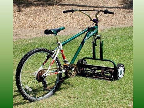 Divers - Les petits débrouillards