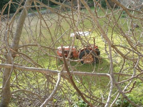 promenade,marche,randonnée,balade,campagne,village,sud