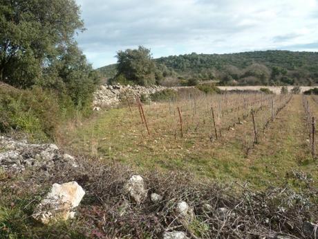 promenade,marche,randonnée,balade,campagne,village,sud