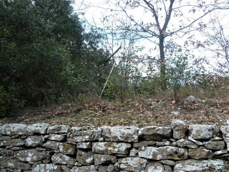 promenade,marche,randonnée,balade,campagne,village,sud