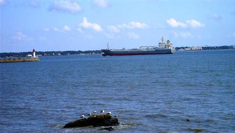 pluie de février vaut jus de fumier