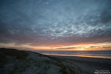 tournepierres à collier et bécasseaux sanderling à #Fouesnant #Bretagne #Finistère tournepierres à collier et bécasseaux sanderling à #Fouesnant #Bretagne #Finistère