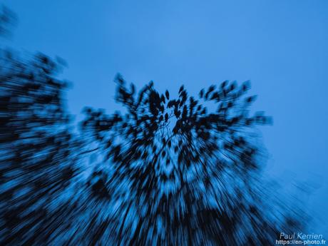 tournepierres à collier et bécasseaux sanderling à #Fouesnant #Bretagne #Finistère tournepierres à collier et bécasseaux sanderling à #Fouesnant #Bretagne #Finistère