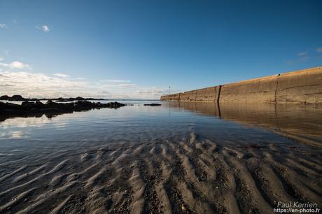 tournepierres à collier et bécasseaux sanderling à #Fouesnant #Bretagne #Finistère tournepierres à collier et bécasseaux sanderling à #Fouesnant #Bretagne #Finistère