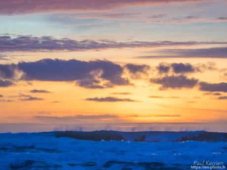 tournepierres à collier et bécasseaux sanderling à #Fouesnant #Bretagne #Finistère tournepierres à collier et bécasseaux sanderling à #Fouesnant #Bretagne #Finistère