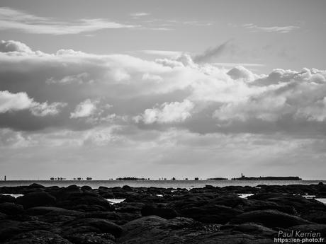 tournepierres à collier et bécasseaux sanderling à #Fouesnant #Bretagne #Finistère tournepierres à collier et bécasseaux sanderling à #Fouesnant #Bretagne #Finistère