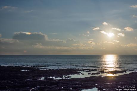 tournepierres à collier et bécasseaux sanderling à #Fouesnant #Bretagne #Finistère tournepierres à collier et bécasseaux sanderling à #Fouesnant #Bretagne #Finistère