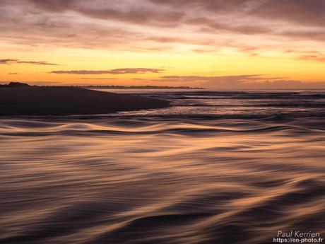 tournepierres à collier et bécasseaux sanderling à #Fouesnant #Bretagne #Finistère tournepierres à collier et bécasseaux sanderling à #Fouesnant #Bretagne #Finistère