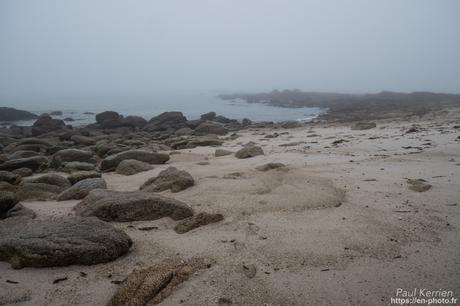 tournepierres à collier et bécasseaux sanderling à #Fouesnant #Bretagne #Finistère tournepierres à collier et bécasseaux sanderling à #Fouesnant #Bretagne #Finistère