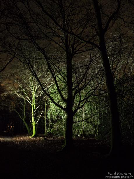 tournepierres à collier et bécasseaux sanderling à #Fouesnant #Bretagne #Finistère tournepierres à collier et bécasseaux sanderling à #Fouesnant #Bretagne #Finistère