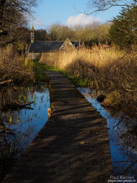 tournepierres à collier et bécasseaux sanderling à #Fouesnant #Bretagne #Finistère tournepierres à collier et bécasseaux sanderling à #Fouesnant #Bretagne #Finistère