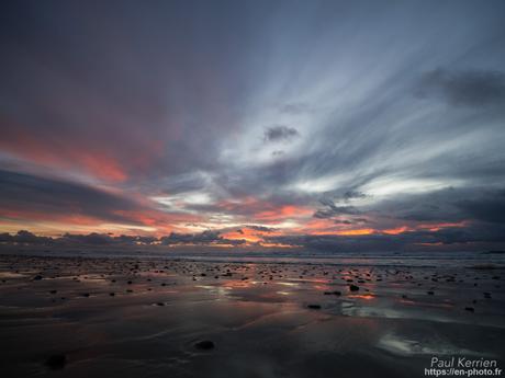 tournepierres à collier et bécasseaux sanderling à #Fouesnant #Bretagne #Finistère tournepierres à collier et bécasseaux sanderling à #Fouesnant #Bretagne #Finistère