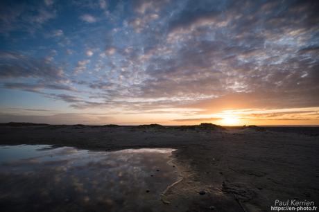 tournepierres à collier et bécasseaux sanderling à #Fouesnant #Bretagne #Finistère tournepierres à collier et bécasseaux sanderling à #Fouesnant #Bretagne #Finistère