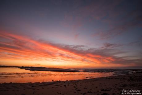 tournepierres à collier et bécasseaux sanderling à #Fouesnant #Bretagne #Finistère tournepierres à collier et bécasseaux sanderling à #Fouesnant #Bretagne #Finistère