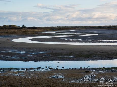 tournepierres à collier et bécasseaux sanderling à #Fouesnant #Bretagne #Finistère tournepierres à collier et bécasseaux sanderling à #Fouesnant #Bretagne #Finistère