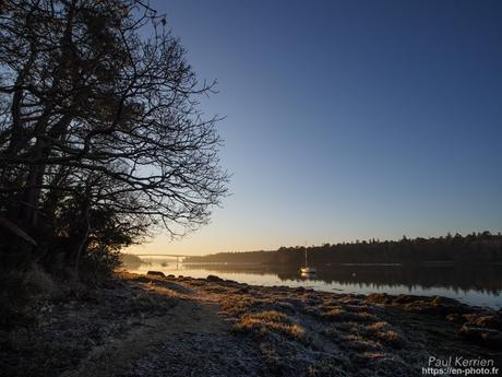 tournepierres à collier et bécasseaux sanderling à #Fouesnant #Bretagne #Finistère tournepierres à collier et bécasseaux sanderling à #Fouesnant #Bretagne #Finistère