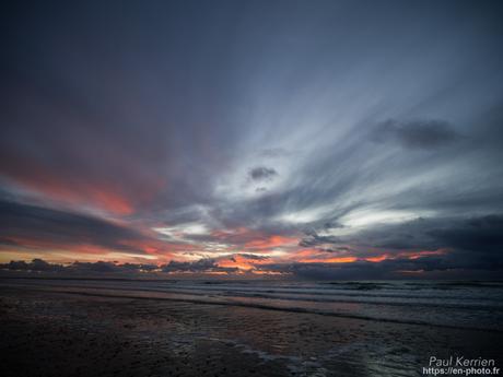tournepierres à collier et bécasseaux sanderling à #Fouesnant #Bretagne #Finistère tournepierres à collier et bécasseaux sanderling à #Fouesnant #Bretagne #Finistère