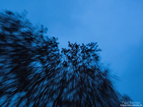 tournepierres à collier et bécasseaux sanderling à #Fouesnant #Bretagne #Finistère tournepierres à collier et bécasseaux sanderling à #Fouesnant #Bretagne #Finistère