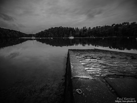 tournepierres à collier et bécasseaux sanderling à #Fouesnant #Bretagne #Finistère tournepierres à collier et bécasseaux sanderling à #Fouesnant #Bretagne #Finistère