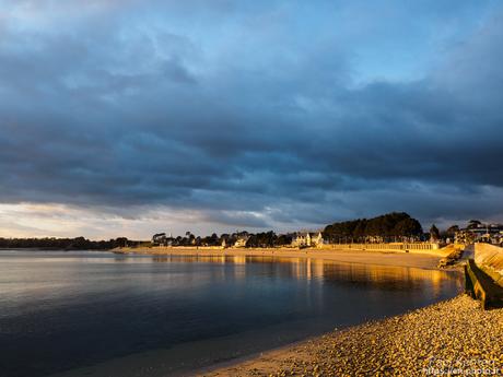 tournepierres à collier et bécasseaux sanderling à #Fouesnant #Bretagne #Finistère tournepierres à collier et bécasseaux sanderling à #Fouesnant #Bretagne #Finistère
