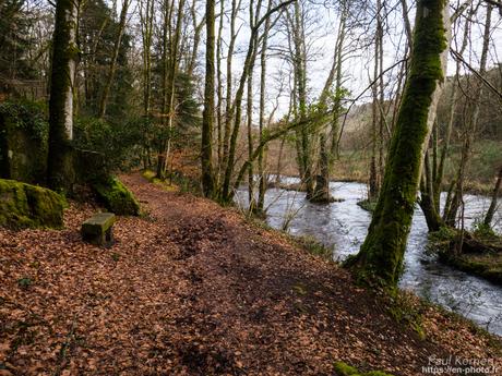 tournepierres à collier et bécasseaux sanderling à #Fouesnant #Bretagne #Finistère tournepierres à collier et bécasseaux sanderling à #Fouesnant #Bretagne #Finistère