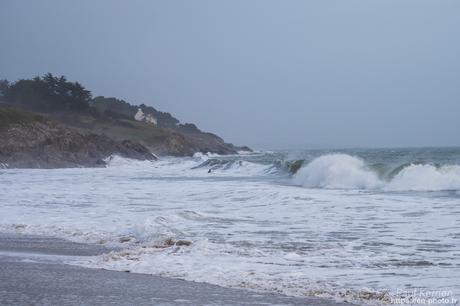 tournepierres à collier et bécasseaux sanderling à #Fouesnant #Bretagne #Finistère tournepierres à collier et bécasseaux sanderling à #Fouesnant #Bretagne #Finistère