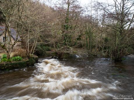 tournepierres à collier et bécasseaux sanderling à #Fouesnant #Bretagne #Finistère tournepierres à collier et bécasseaux sanderling à #Fouesnant #Bretagne #Finistère