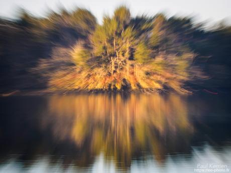tournepierres à collier et bécasseaux sanderling à #Fouesnant #Bretagne #Finistère tournepierres à collier et bécasseaux sanderling à #Fouesnant #Bretagne #Finistère