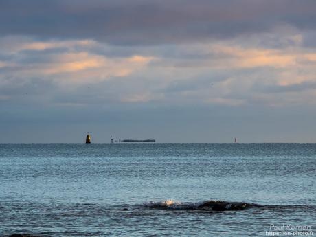 tournepierres à collier et bécasseaux sanderling à #Fouesnant #Bretagne #Finistère tournepierres à collier et bécasseaux sanderling à #Fouesnant #Bretagne #Finistère
